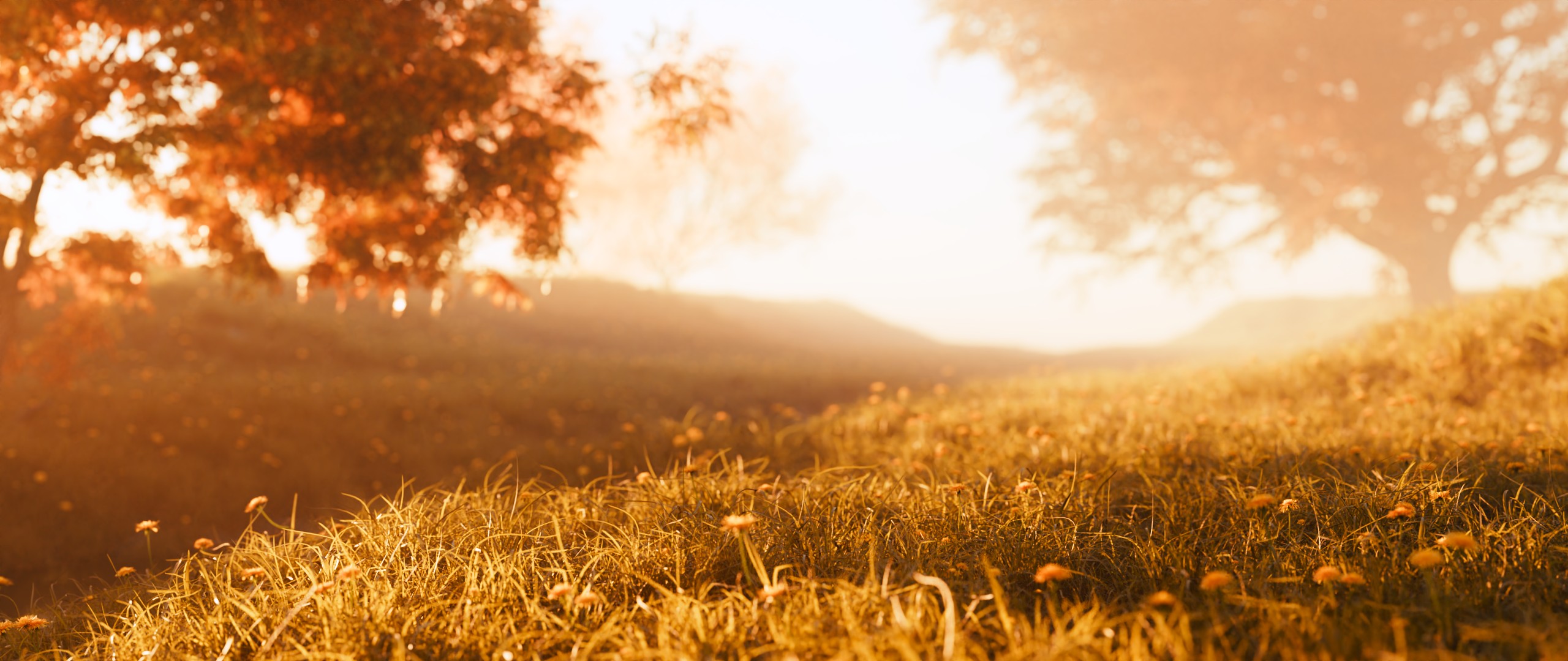 一张清晨草原的照片